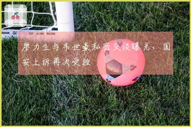 廖力生与韦世豪私密交谈曝光，国安上诉再次受挫