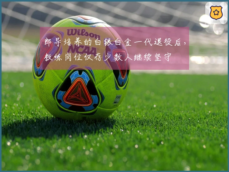 郎导培养的白银白金一代退役后，教练岗位仅存少数人继续坚守