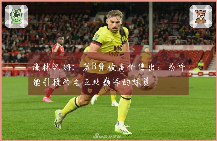谢林汉姆：若B费被高价售出，或许能引援两名正处巅峰的球员
